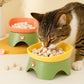 Tilted Raised Cat Food Bowl