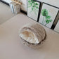 Cozy Covered Cat Dog Bed
